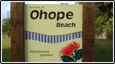 Ohope Beach Deals