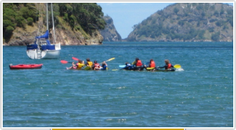 Ohope - kayak hire and guided tours